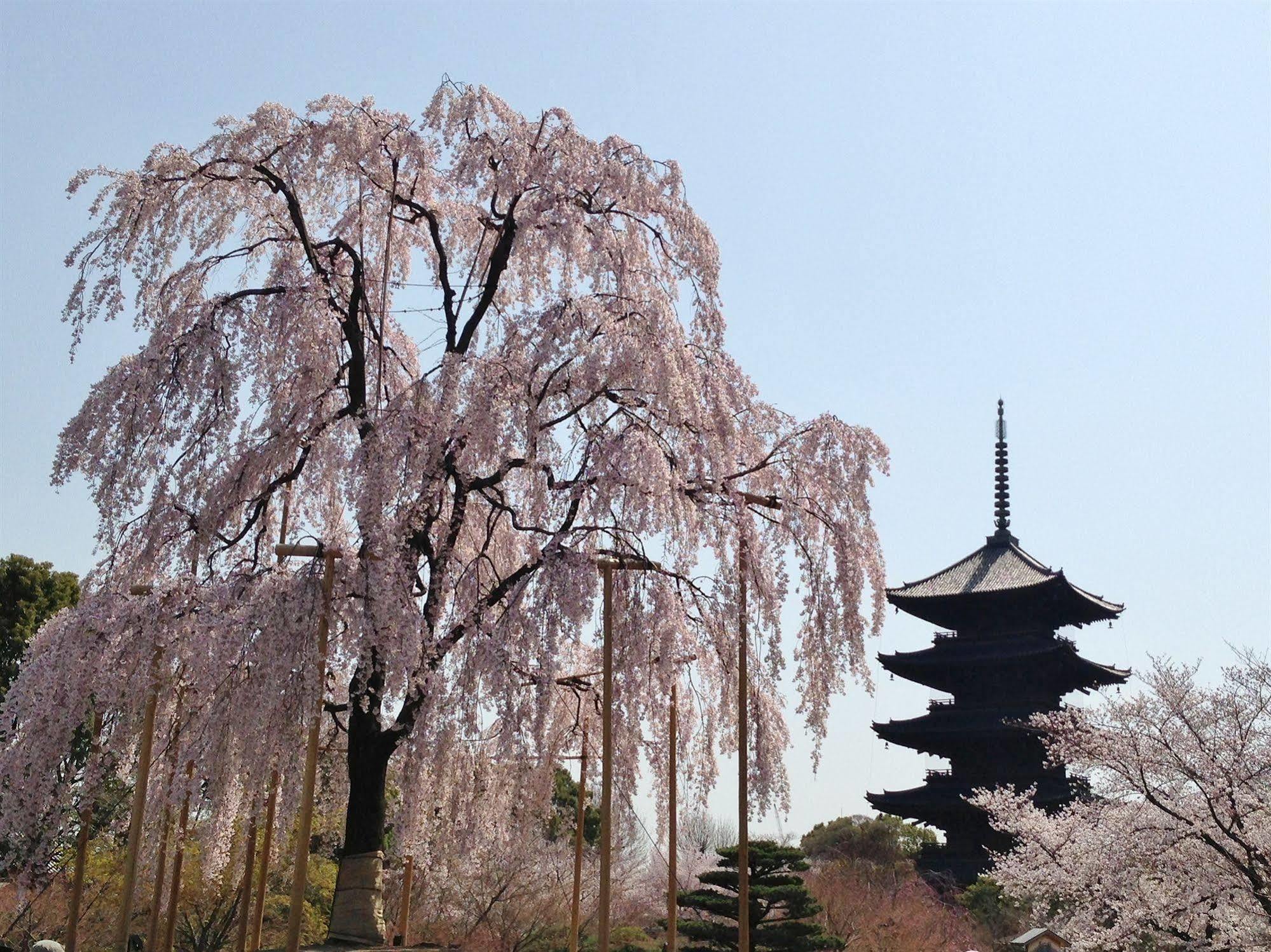 Livemax Kyoto Gojo Hotel Kültér fotó